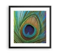 Affiche Poster 40x40cm Tableaux Image Photo Paons Plume Arc En Ciel Wall Art