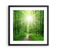 Affiche Poster 40x40cm Tableaux Image Photo Rayons du soleil forêt été Wall Art