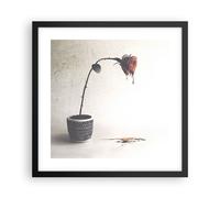 Affiche Poster 40x40cm Tableaux Image Photo Symbole Rose Souffrance Wall Art