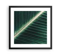 Affiche Poster 40x40cm Tableaux Image Photo Vert Feuille Tropical Wall Art