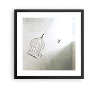Affiche Poster 40x40cm Tableaux Image Photo Vol Oiseau Cage Wall Art Decoration
