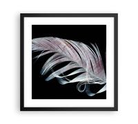 Affiche Poster 40x40cm Tableaux Image Plume Les Couleurs La Délicatesse Art