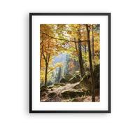 Affiche Poster 40x50cm Tableaux Image Automne montagne forêt nature Wall Art
