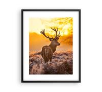 Affiche Poster 40x50cm Tableaux Image Automne paysage nature feuille Wall Art