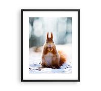 Affiche Poster 40x50cm Tableaux Image Écureuil hiver neige nourriture Wall Art