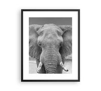 Affiche Poster 40x50cm Tableaux Image Éléphant Afrique Des Animaux Wall Art