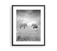 Affiche Poster 40x50cm Tableaux Image Éléphants Noir Et Blanc Safari Wall Art