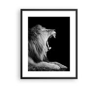 Affiche Poster 40x50cm Tableaux Image Lion Bâillement Noir Et Blanc Wall Art