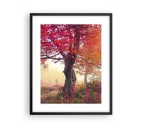 Affiche Poster 40x50cm Tableaux Image Photo arbre nature prairie Wall Art