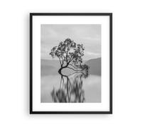 Affiche Poster 40x50cm Tableaux Image Photo Arbre Symétrie Lac Wall Art