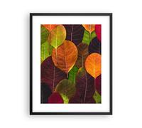 Affiche Poster 40x50cm Tableaux Image Photo Automne Feuilles Graphismes Wall Art