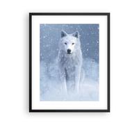 Affiche Poster 40x50cm Tableaux Image Photo Blanc Loup Neige Wall Art Decoration