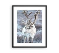 Affiche Poster 40x50cm Tableaux Image Photo Blanc Renne Scandinave Wall Art