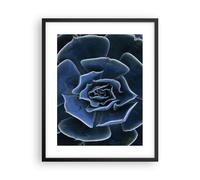 Affiche Poster 40x50cm Tableaux Image Photo Bleu Cactus Fleur Wall Art