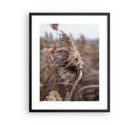 Affiche Poster 40x50cm Tableaux Image Photo Boho Épis De Maïs Herbe Wall Art
