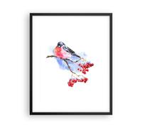 Affiche Poster 40x50cm Tableaux Image Photo Bouvreuil On Branche Wall Art