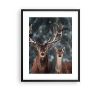 Affiche Poster 40x50cm Tableaux Image Photo Cerf renne chevreuil Wall Art