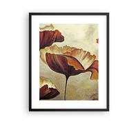 Affiche Poster 40x50cm Tableaux Image Photo coquelicot fleur prairie Wall Art