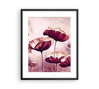 Affiche Poster 40x50cm Tableaux Image Photo coquelicot fleur prairie Wall Art
