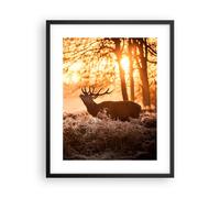 Affiche Poster 40x50cm Tableaux Image Photo Deer bruyère animaux Wall Art
