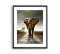 Affiche Poster 40x50cm Tableaux Image Photo Elephant Route Campagne Wall Art