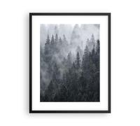 Affiche Poster 40x50cm Tableaux Image Photo forêt arbre nature Wall Art