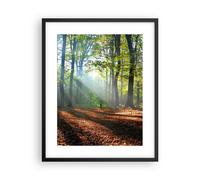 Affiche Poster 40x50cm Tableaux Image Photo Forêt Feuilles Soleil Wall Art