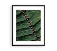 Affiche Poster 40x50cm Tableaux Image Photo Gouttes Eau Feuilles Wall Art