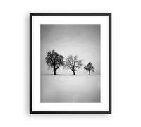 Affiche Poster 40x50cm Tableaux Image Photo Hiver Arbres Neige Wall Art