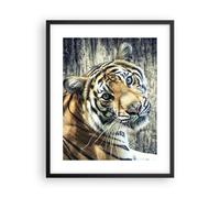 Affiche Poster 40x50cm Tableaux Image Photo Inde pierre tigre sauvage Wall Art
