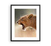 Affiche Poster 40x50cm Tableaux Image Photo Lion Lionne Crocs Wall Art