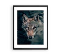 Affiche Poster 40x50cm Tableaux Image Photo Loup Forêt Prédateur Wall Art
