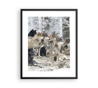 Affiche Poster 40x50cm Tableaux Image Photo Meute Loups Hiver Wall Art