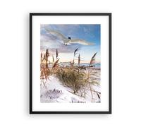 Affiche Poster 40x50cm Tableaux Image Photo Mouette Mer Côte Wall Art Decoration