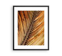 Affiche Poster 40x50cm Tableaux Image Photo Orange Feuille Tropical Wall Art