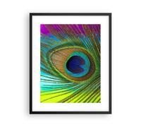 Affiche Poster 40x50cm Tableaux Image Photo Paons Plume Arc En Ciel Wall Art