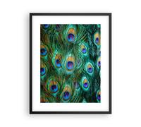 Affiche Poster 40x50cm Tableaux Image Photo Paons Plume Macro Wall Art