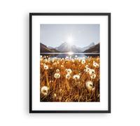 Affiche Poster 40x50cm Tableaux Image Photo Pissenlits Soleil Champ Wall Art