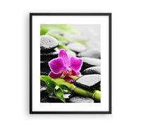 Affiche Poster 40x50cm Tableaux Image Photo Plante pierres bambous spa Wall Art