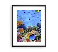 Affiche Poster 40x50cm Tableaux Image Photo Récif de corail Wall Art Decoration
