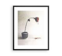 Affiche Poster 40x50cm Tableaux Image Photo Symbole Rose Souffrance Wall Art