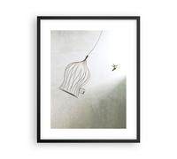 Affiche Poster 40x50cm Tableaux Image Photo Vol Oiseau Cage Wall Art Decoration