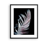 Affiche Poster 40x50cm Tableaux Image Plume Les Couleurs La Délicatesse Wall Art