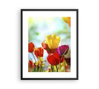 Affiche Poster 40x50cm Tableaux Image Tulipe fleur plantation Meadow Wall Art