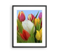 Affiche Poster 40x50cm Tableaux Image Tulipes Bouquet fleurs rosée Wall Art
