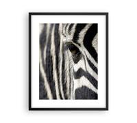 Affiche Poster 40x50cm Tableaux Image Zebra rayures vie sauvage safari Wall Art