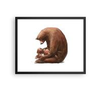 Affiche Poster 50x40cm Tableaux Image Ours Ours En Peluche Pour Enfants Art