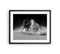 Affiche Poster 50x40cm Tableaux Image Photo Andalouse Chevaux Galop Wall Art