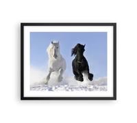 Affiche Poster 50x40cm Tableaux Image Photo Animaux beauté compétition Wall Art