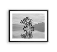 Affiche Poster 50x40cm Tableaux Image Photo Arbre Symétrie Lac Wall Art